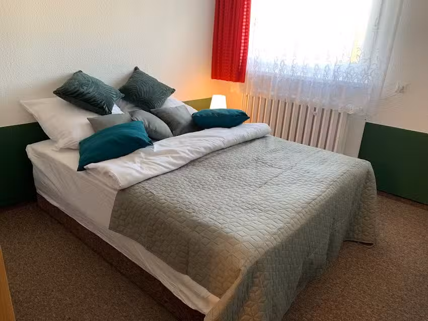 3 Steps to the Forest