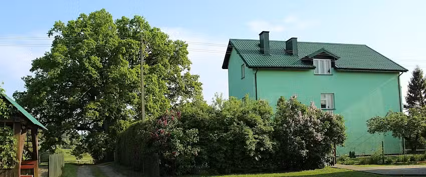 Agrokwatera „Stary Dąb”