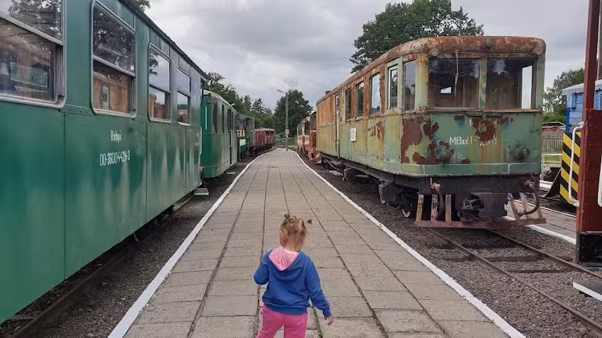 Agritourism house on the edge of the forest