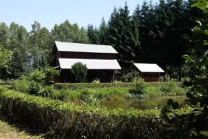 Agritourism “Cottage in the Retreat”