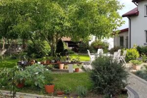 Agroturystyka Golice