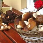 Agriturismo Forest Corner