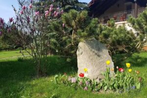 Agroturystyka Nad Stawem Wycinki – Bory Tucholskie