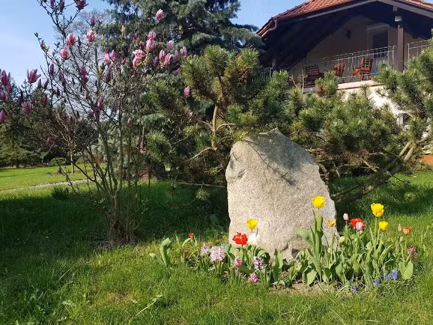 Agrotourismus Nad Stawem Wycinaki – Tucheler Wald