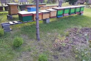 Agrotourismus „Nad Struniem“