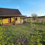 Agritourism under the oak tree