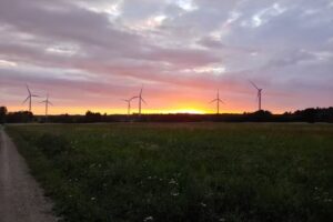 Agrotourismus unter der Eiche