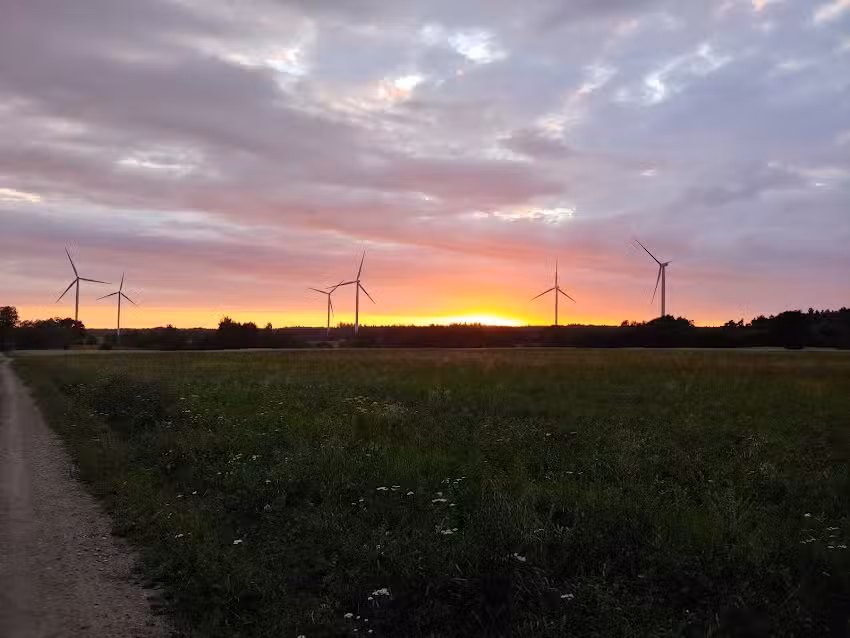 Agrotourismus unter der Eiche