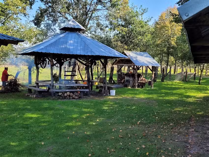 Agroturystyka &bdquo;Pod Lipą&rdquo;