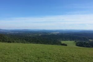 Agrotourism Pod Lipami