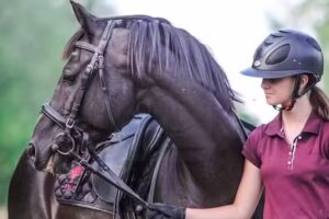 Agroturystyka Przystanek Koński Dwór