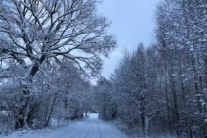 Agrotourismus Skolity Julia Kowalczyk