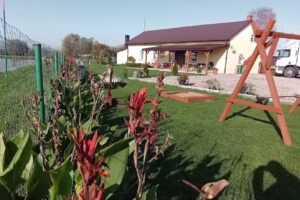 Agroturystyka stokrotka