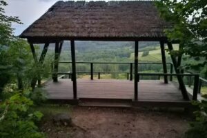 Agritourism at Andrzej’s