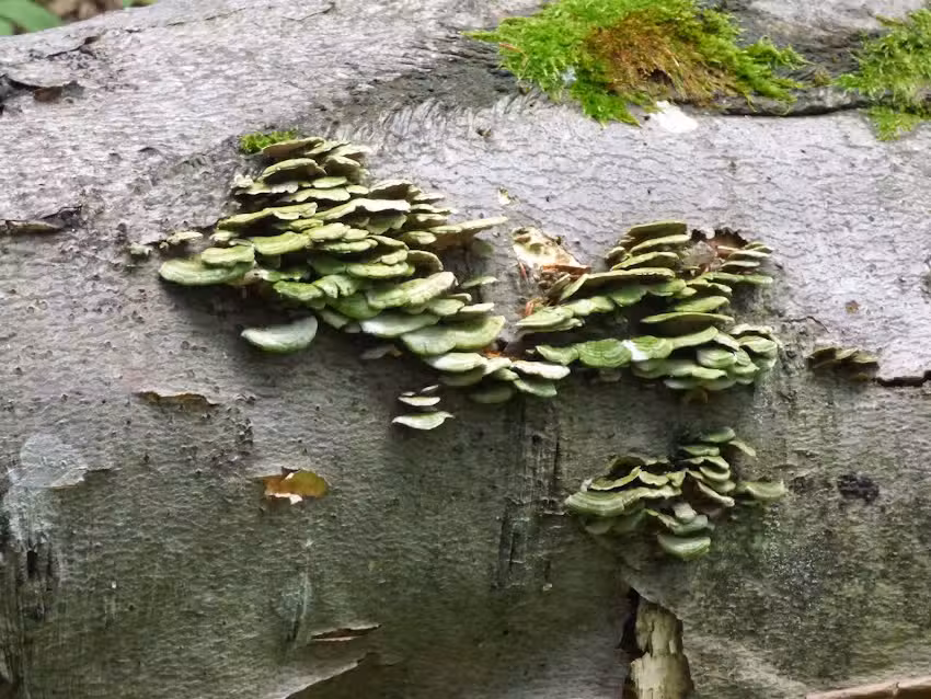 Agritourism at the Sawicki Family