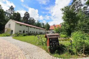 Agroturystyka W Lesie