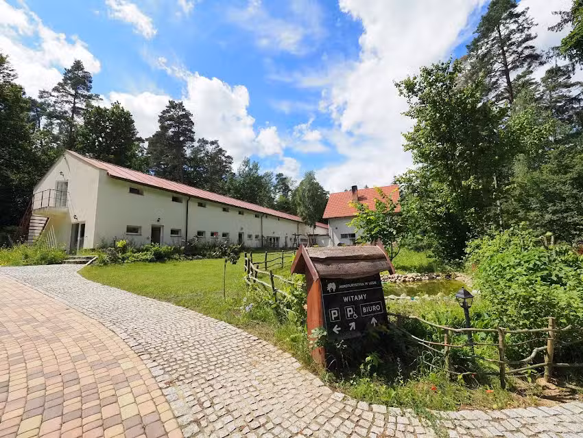 Agroturystyka W Lesie