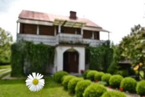 Agrotourism Zagdańscy ZW