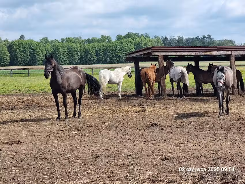 Agroturystyka Zielony Zakątek