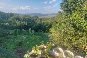 Agrowilla Kozłówek