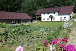Agrowinnica – Agrotourism Kashubia