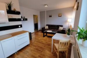 Apartment Działkowa by the park