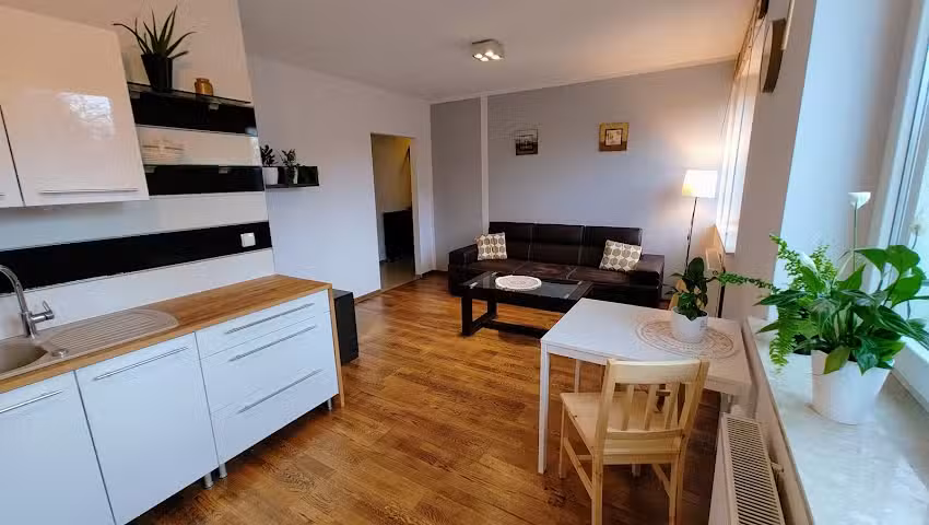 Apartment Działkowa am Park