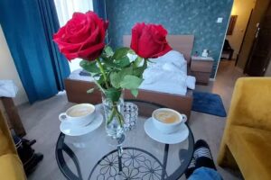 Apartments Jagiellońska 23