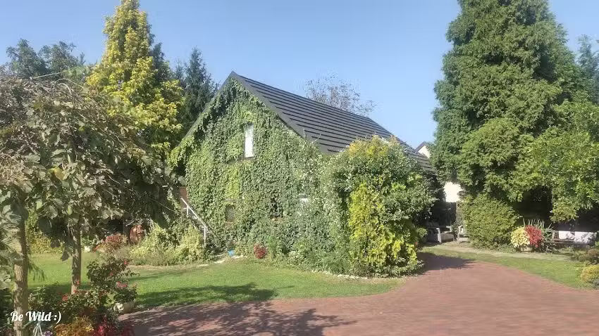 Wohnungen in der Kasztelańska-Straße