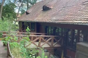 Apartments under the Pines