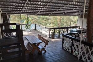 Apartamenty pod Sosnami Noclegi OTW Borówno Wielkie