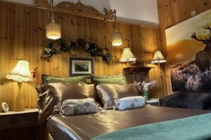 Apartamenty Pod Wiciokrzewem