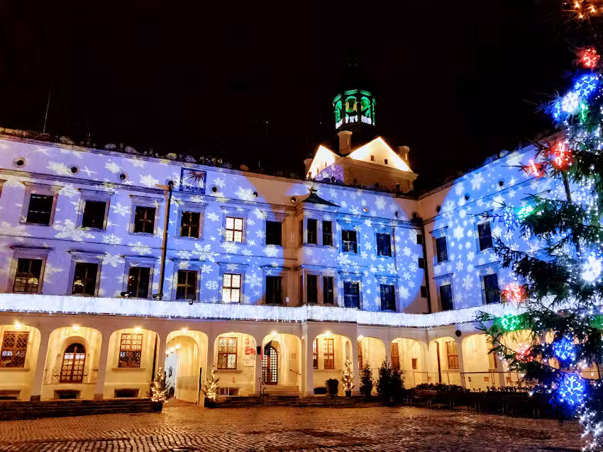 Professorenwohnungen