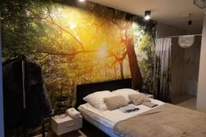 Apartamenty w Puszczy Przemysław Sobolewski