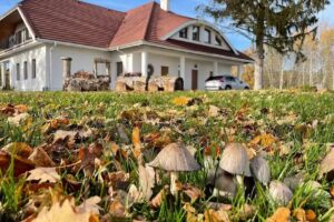 Ataraxia Ględy – The Mini Mansion in Mazuria