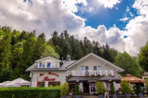 Bar-Cafe Guesthouse BASIA