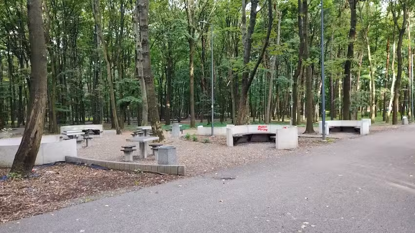 Beton unter der Fichte