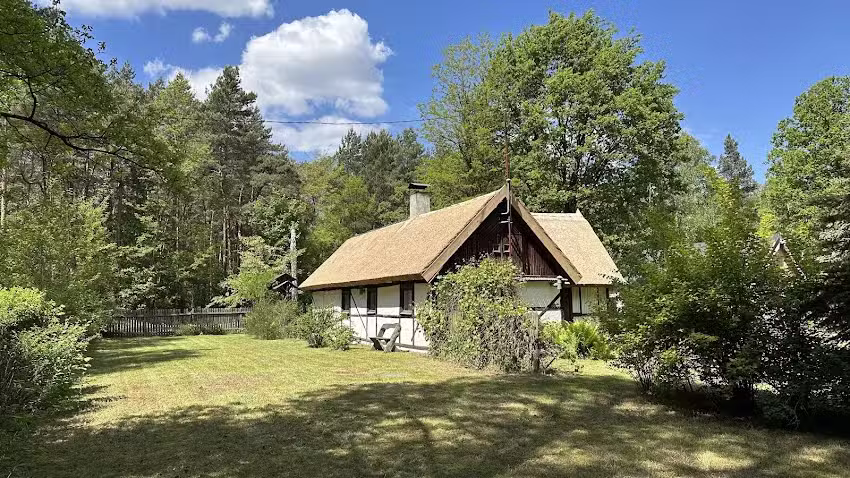 BIBIANNA HERZ DES WALDS