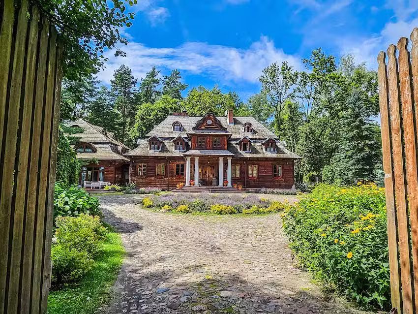 Dachse am Lindenbaum