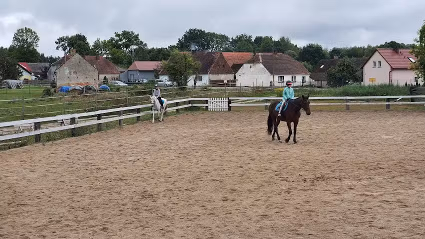 Bronków. Stud farm. Agritourism farm. Przewłocka K.