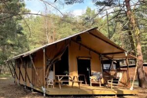 Camp Bursztynowy Las