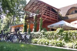 Camping / Campingplatz Carrot Field