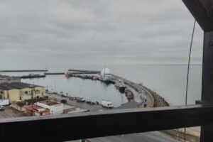 Cottage in the Little Forest