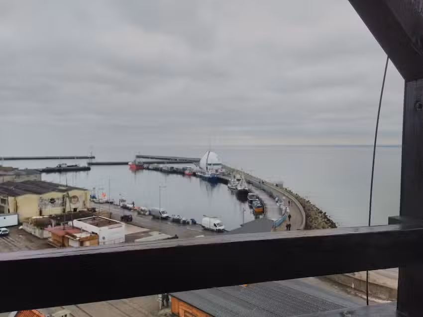 Cottage in the Little Forest