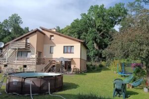 The Magic of the Forest