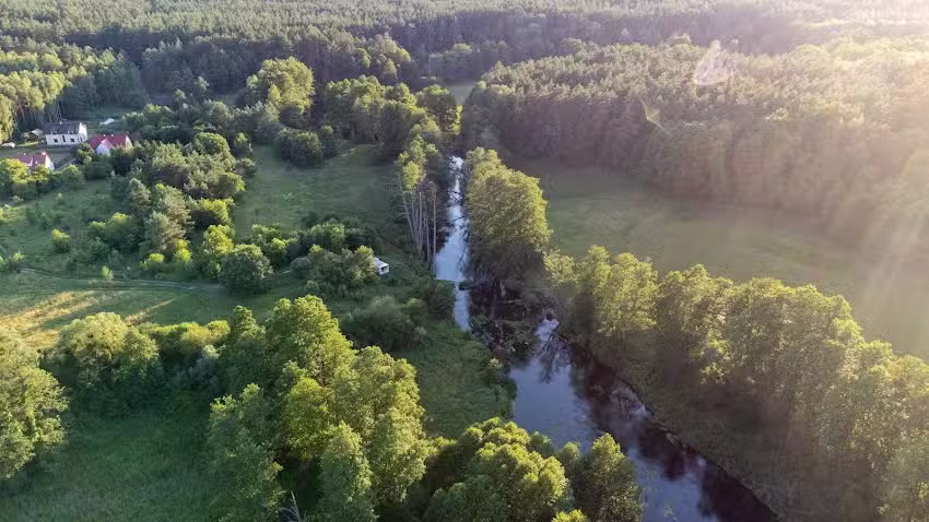 Dacha Puchacza Glamping