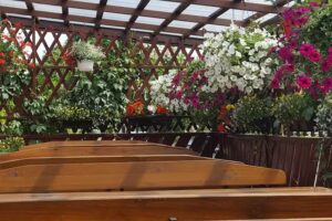 Dana. Inn. Koźbiał JD