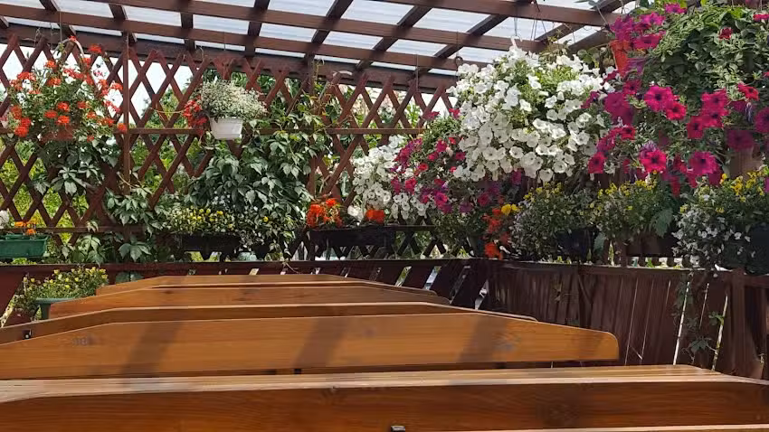 Dana. Inn. Koźbiał JD