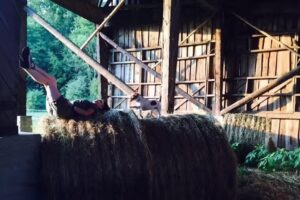 Guest House “Wlewo”