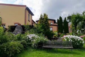 House under the Pear Tree